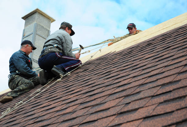 Best Gutter Installation and Roofing  in Brookneal, VA